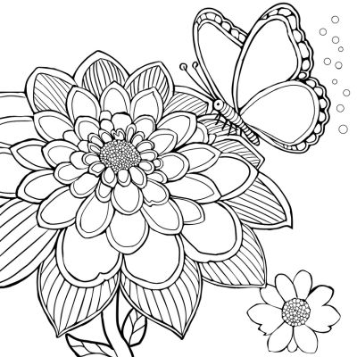 Borboleta em uma flor